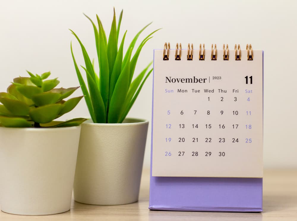 plaza para maestro en Andalucía